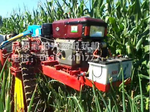 山東省大姜收獲機
